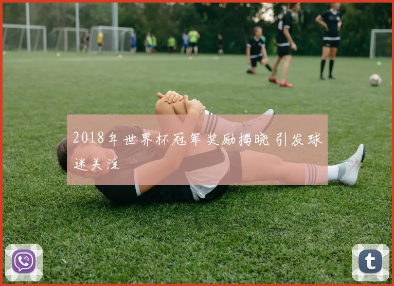 2018年世界杯冠军奖励揭晓 引发球迷关注