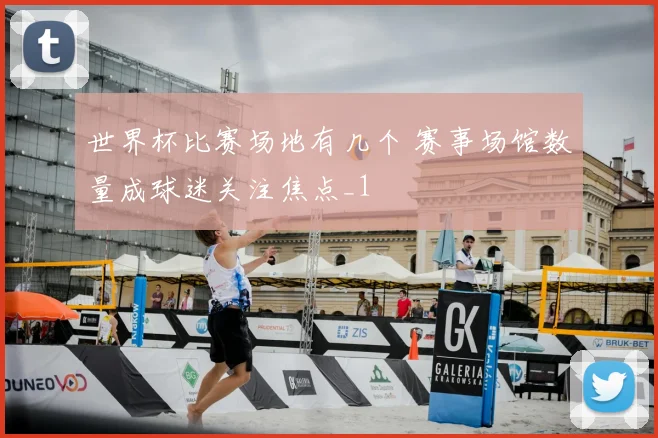 世界杯比赛场地有几个 赛事场馆数量成球迷关注焦点_1