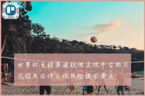 世界杯竞猜渠道梳理正规平台购买流程及法律合规风险提示要点