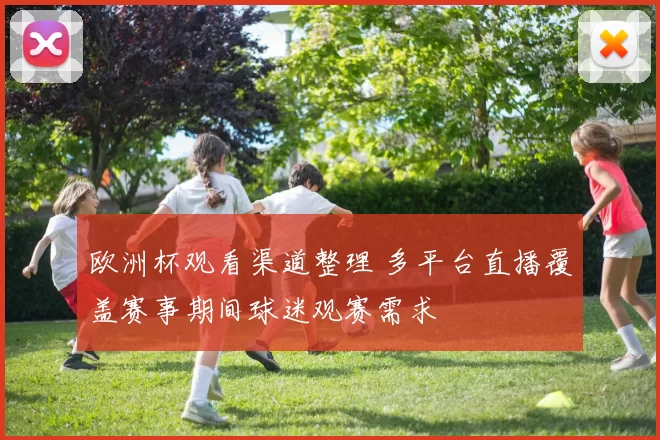 欧洲杯观看渠道整理 多平台直播覆盖赛事期间球迷观赛需求